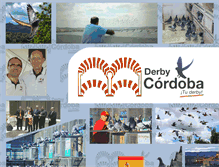Tablet Screenshot of derbycordoba.com